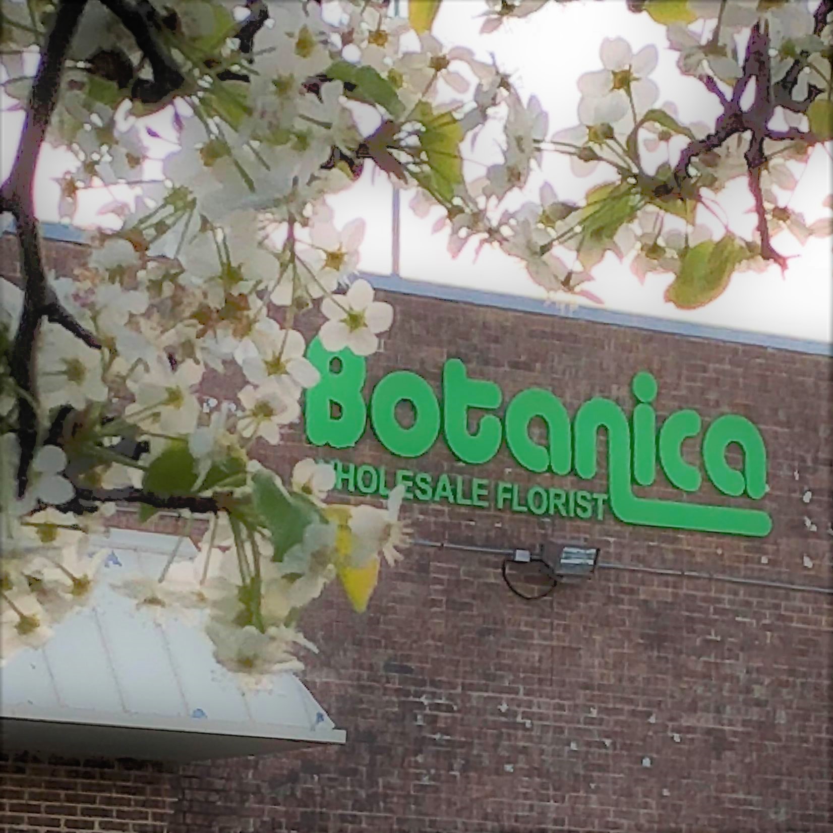 Botanica Front Face